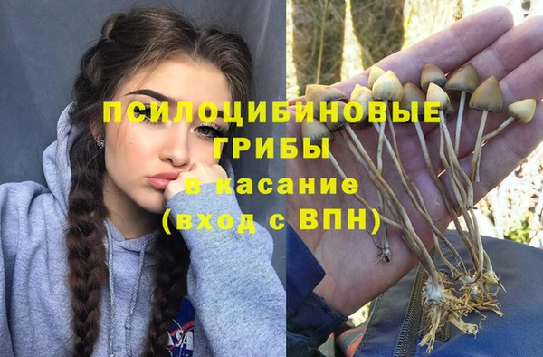 экстази Алексин